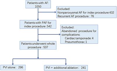 Prevalence and Predictors of Additional Ablation Beyond Pulmonary Vein Isolation in Patients With Paroxysmal Atrial Fibrillation